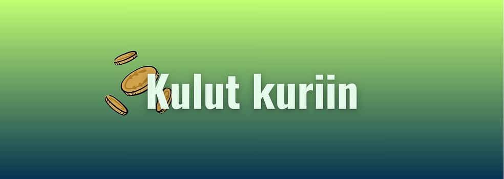 Kulut kuriin / 3kk by Neva too rich